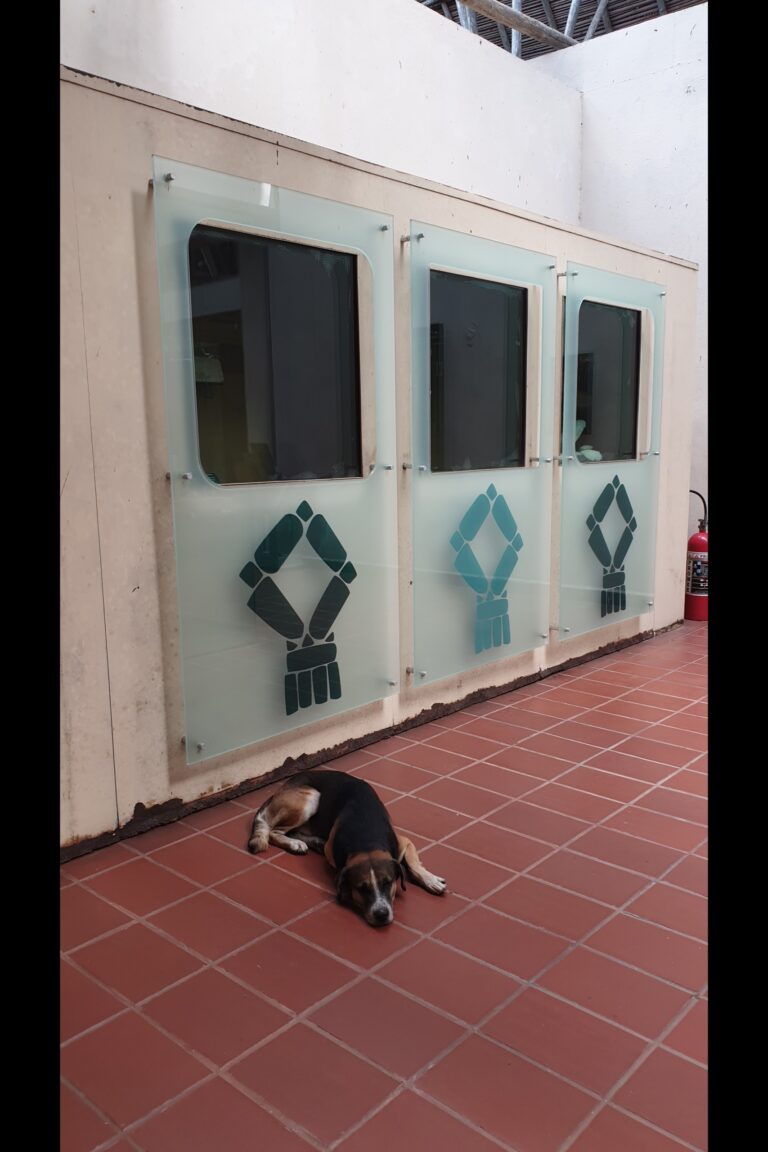 f_La_Venta_20231021_094342