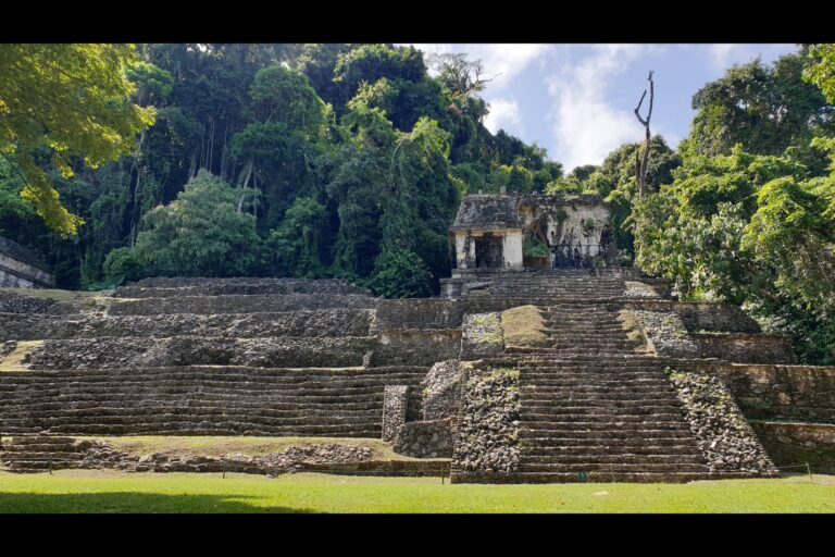 h_Palenque_20231023_101406