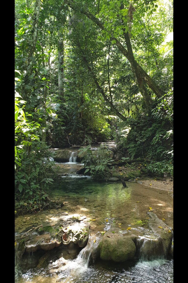 h_Palenque_20231023_120331