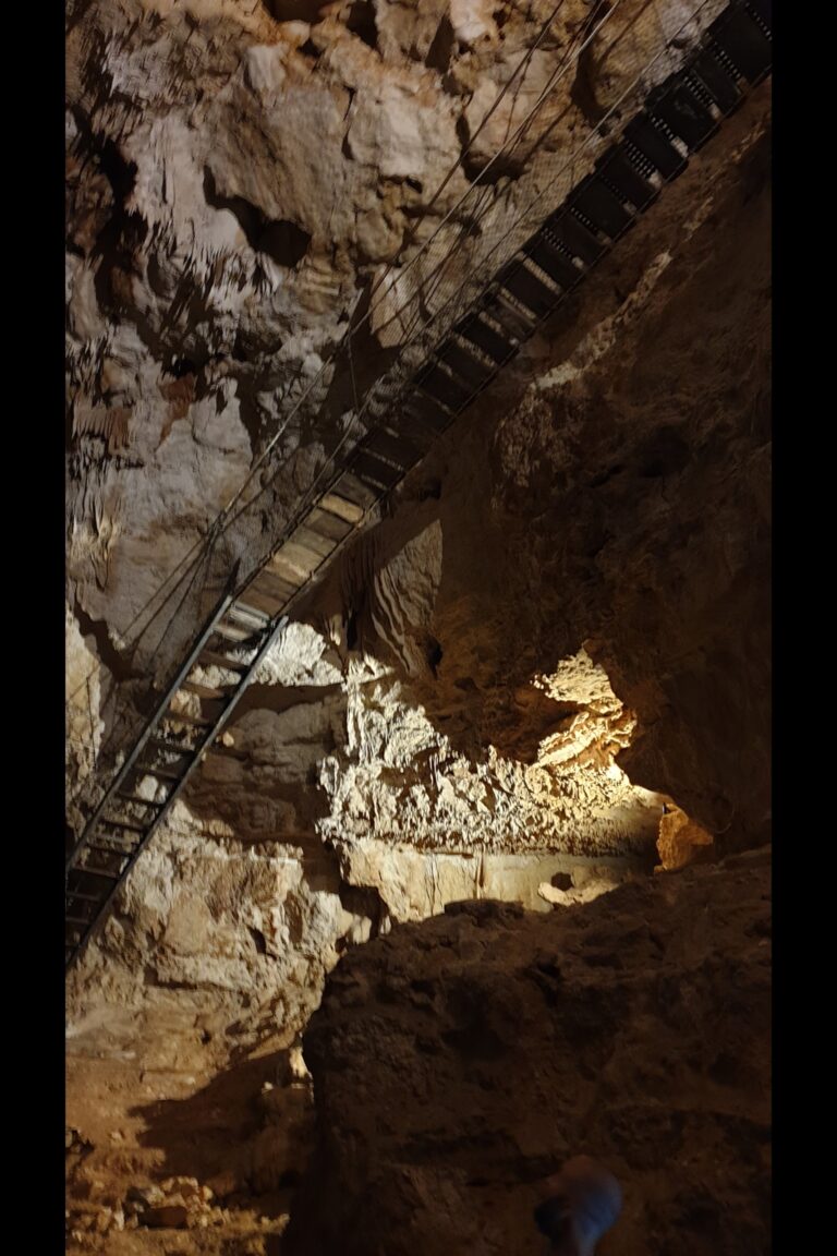 b_cenote_xnuuk_20231103_105308