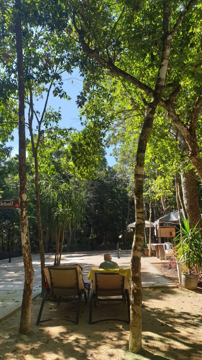 d_puerto_morelos_085f6ab9-c936-43b6-8e37-e6b8d819a916