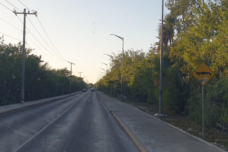 d_puerto_morelos_20231107_173438