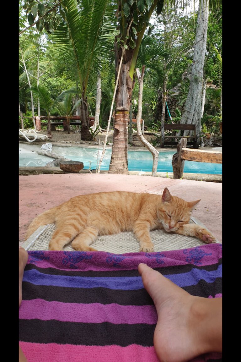 f_tulum_20231110_122340
