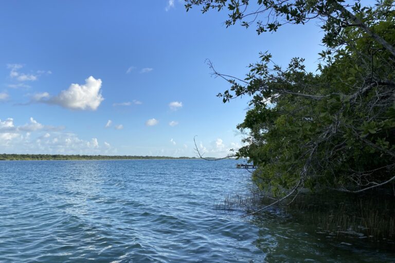 g1_bacalar_IMG_7160