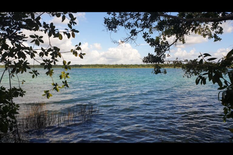 g1_bacalar_a24535cf-ecf7-4507-b536-edf2d67f76cc