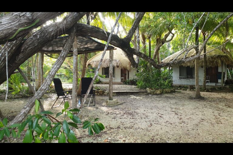 g1_bacalar_cfb8fa98-2609-45ae-a2c4-973040898ca0