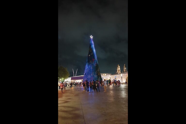 k_campeche_d748fe7a-3a3e-4c52-b51a-730b42dbd700