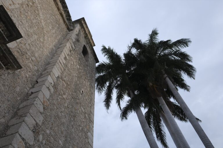 l_Merida__DSF5996
