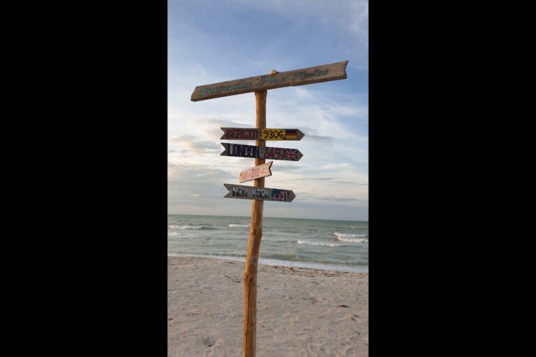 l_strand_704d1c95-b4a5-48b3-b3fa-e858124b59e6
