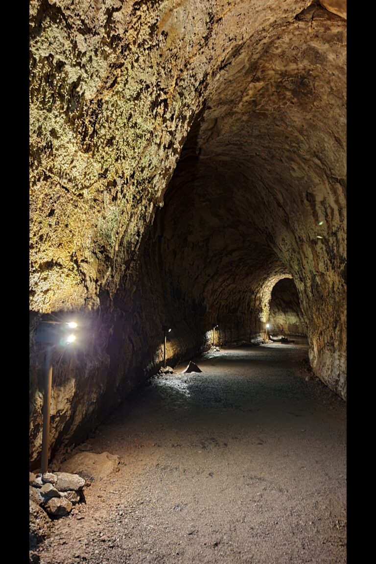 c_a_santacruz_20240209_121529