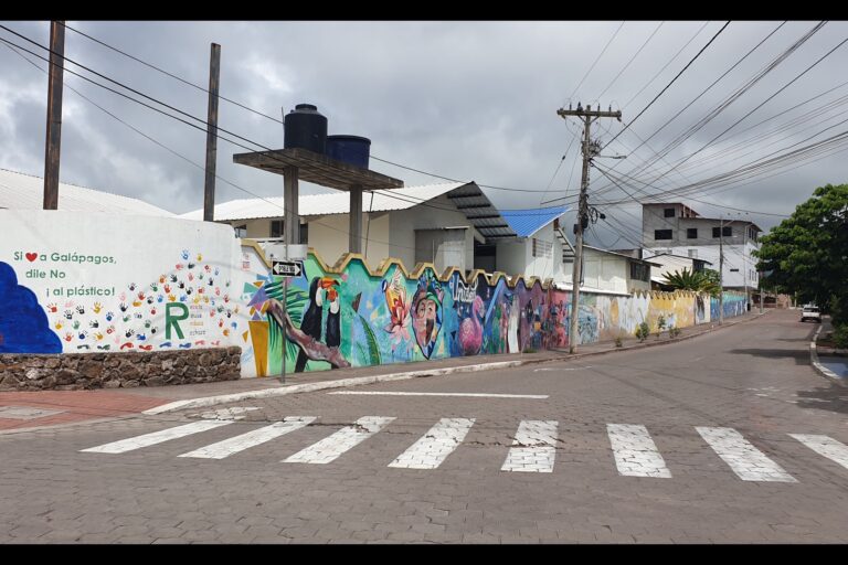 c_a_santacruz_20240210_125536