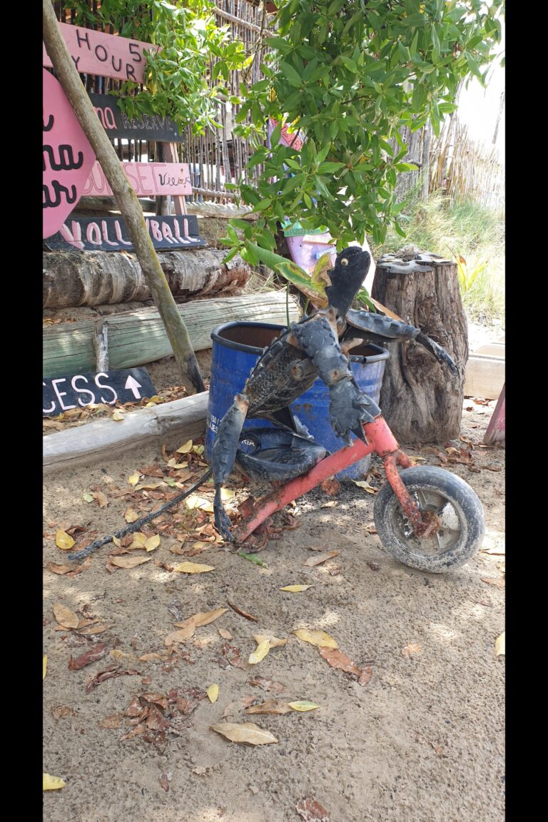 c_b_isabela_20240212_120625