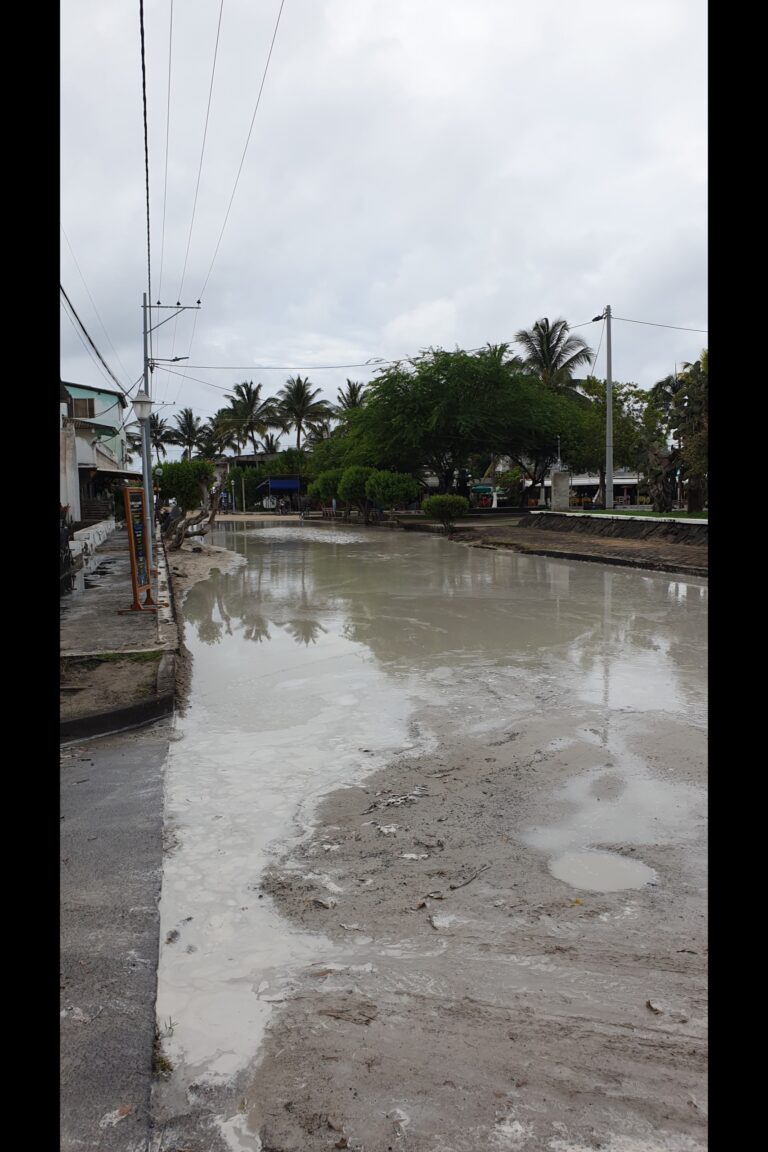 c_b_isabela_20240213_091434