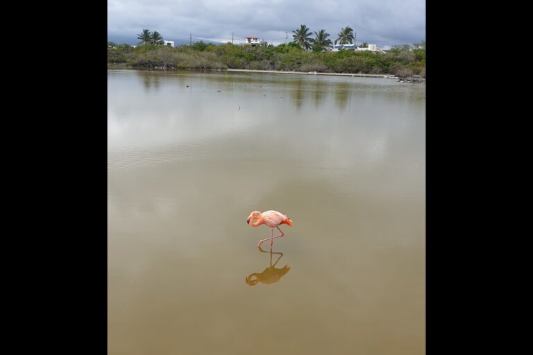 c_b_isabela_20240213_161024
