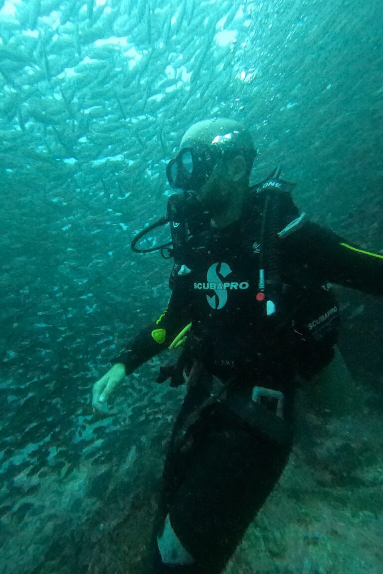 DCIM100GOPROG0014584