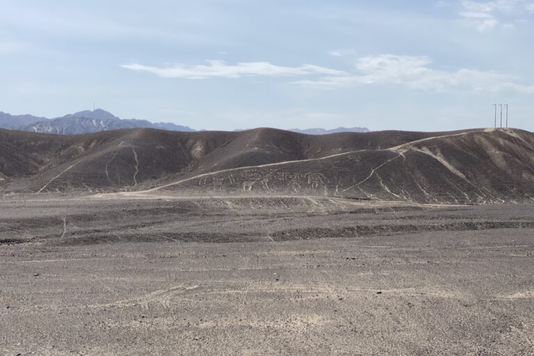 e_nazca_IMG_9517