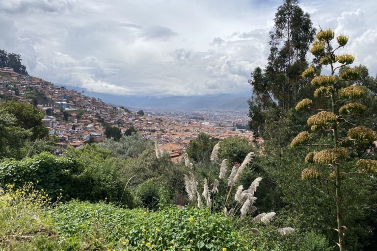 g_cusco_IMG_9659